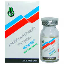 MEGAPEN 1000MG INJECTION 1 VAIL
