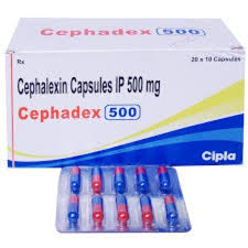 CEPHADEX 500 CAPSULE 10CAP
