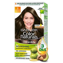 GARNIER COLOR BROWN NO-3 