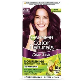 GARNIER COLOR BURGUNDY 3.16 1 PCS